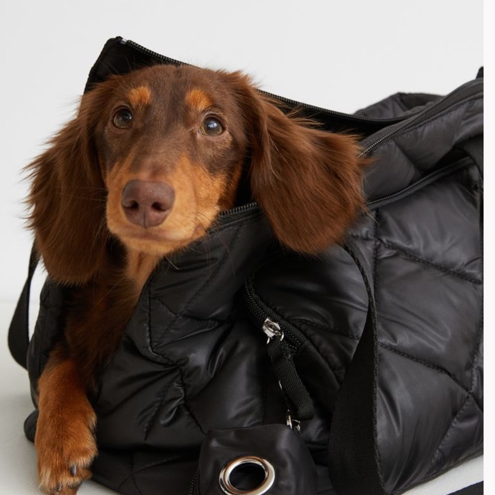 PRELOVED H&M QUILTED DOG BAG